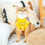 Cat Clothes 3 Color Winter Warm Sweater Vest - Image 10