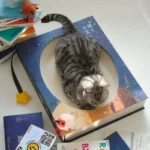 Fantasy Magic Book Cat Scratcher Bed - Image 11