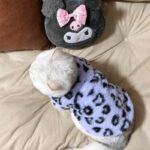 Cat Clothes 3 Color Winter Plush Warm Sweatshirts - Image 10