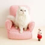 Mini Cat Armchair Sofas Fluffy 4 Color Bed Couch - Image 7