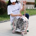 Transparent Cat Trolley With Wheels Rolling Carrier - Image 3