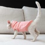 Cat Clothes Sphynx Hairless Cat Hoodie - Image 15