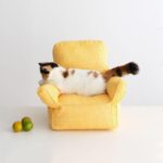 Mini Cat Armchair Sofas Fluffy 4 Color Bed Couch - Image 5