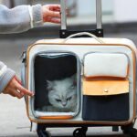 Cat Rolling Carrier Backpack With Wheels Trolley Bag - Image 5