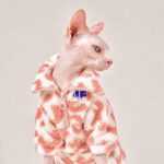 Pink Leopard Print Sphynx Cat Sweatshirt Clothes - Image 8