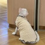 Soft Lambswool Hairless Cat Clothes - Image 8
