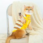 Cat Clothes 3 Color Winter Warm Sweater Vest - Image 11