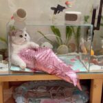 Mermaid Cat Costume Funny Photo Prop Clothes - Image 6