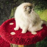 Mushroom Forest Cat Tree Climbing Frame - Image 9