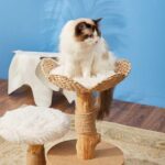 Cattail Solid Wood Cat Tree Climbing Frame - Image 5