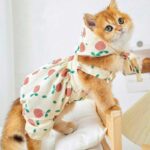 Rustic Cat Pumpkin Pants 2 Color Pet Clothes - Image 3