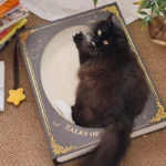Fantasy Magic Book Cat Scratcher Bed - Image 7