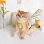 Summer Clashing Cat Vest 3 Color Pet Clothes - Image 2