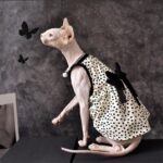 Airy Sphynx Floral Halter Dress Cat Clothes - Image 2