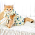 Rustic Cat Pumpkin Pants 2 Color Pet Clothes - Image 9
