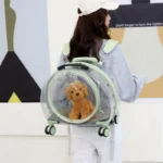 Transparent Cat Trolley With Wheels Rolling Carrier - Image 8