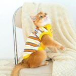 Cat Clothes 3 Color Winter Warm Sweater Vest - Image 13