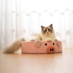 Cute Pig Cat Bed Round Scratching Pad - Image 6