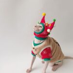 Christmas Sphynx Cat Sweater Hat Set Clothes - Image 10
