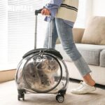 Cat Carrier Backpack With Wheels Transparent Trolley Case - Image 2