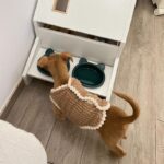 Modern Pet Wooden Furniture Cat House Bed - Image 10