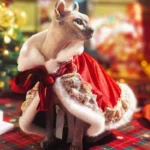 Sphynx Cat Clothes Warm Upscale Couple Cape - Image 2