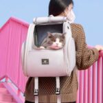 Expandable Large 2 Color Cat Carrier Backpack - Image 8