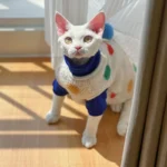 Devon Sphynx Hairless Cat Clothes Vest - Image 8