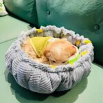 Clouds Petals Cat Bed 3 Colors Adjustable Mat - Image 11