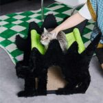 Halloween  Gothic Cat Bed Hammock Green Scratching Board - Image 3