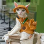 Cowboy Hairless Cat Clothes Hat Sphynx Leash - Image 8
