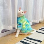 Gradient Sphynx Cat Clothes Warm Hooded Sweater - Image 10