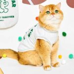 Rugby Star Cat Vest 4 Colors Pet Clothes - Image 3
