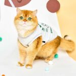 Rugby Star Cat Vest 4 Colors Pet Clothes - Image 6
