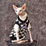 Chic Sphynx Cat Vest Warm Sweatshirt Clothes - Image 5