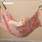 Cat Hammock 3 Color Summer Double Sided Bed