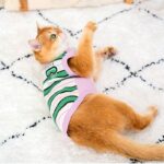 Cat Clothes 3 Color Winter Warm Sweater Vest - Image 6