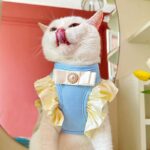 Princess Cute Cat Leash Carrier Harness - Image 2