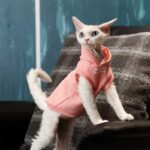 Cat Clothes Sphynx Hairless Cat Hoodie - Image 12