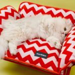 Memphis Pet Sofa Chair Cat Elevated Bed - Image 4