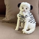 Cute Zebra Stripe Warm Clothes for Hairless Cats - Image 2