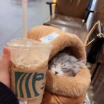 Cat Carrier Front Pack Warm Bag Backpack - Image 9