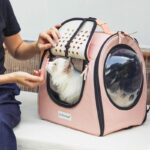 HiAnimal Cat Carrier on Wheels 2 Color Backpack - Image 4
