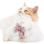 JK Bow Tie Cat Collar Set - Image 4