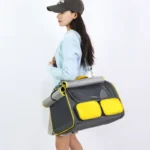 Cat Carrier Bag Foldable 4 Color Outdoor Travel Tote - Image 2