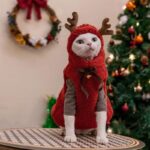 Hairless Cat Clothes Christmas Elk Vest Hoodie - Image 7