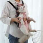 Cat Carrier Front Pack Sling Bag 8 Color Backpack - Image 2