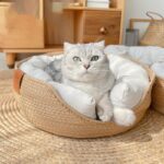 Cooling Cat Bed Hand Made Wicker Nest - Image 3