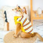 Cat Clothes 3 Color Winter Warm Sweater Vest - Image 15