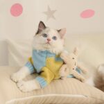 Cat Clothes 2 Style Warm Bear Rabbit Sweater - Image 11